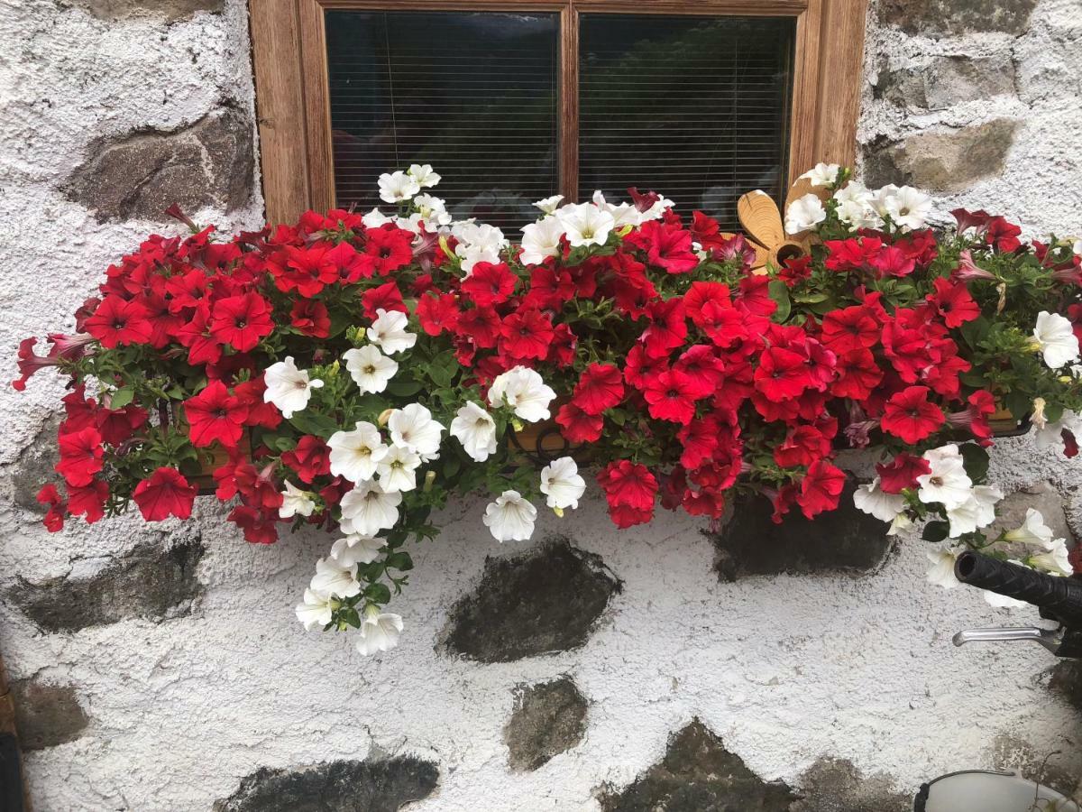 Cesa Mia Apartment Campitello di Fassa Luaran gambar